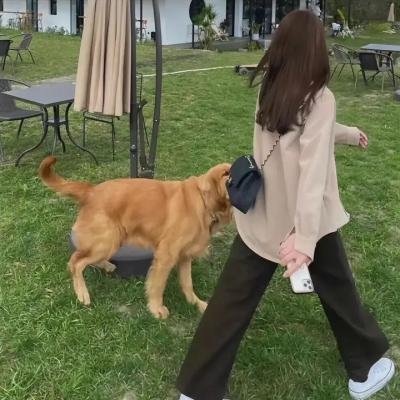 白昼的恶魔